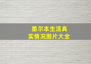 墨尔本生活真实情况图片大全