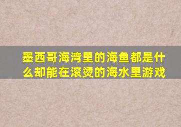 墨西哥海湾里的海鱼都是什么却能在滚烫的海水里游戏