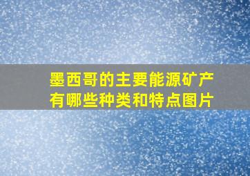 墨西哥的主要能源矿产有哪些种类和特点图片