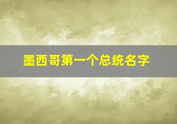 墨西哥第一个总统名字