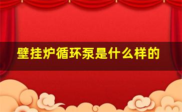 壁挂炉循环泵是什么样的