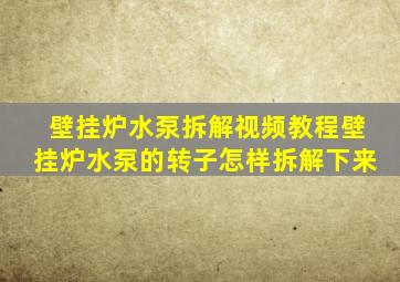 壁挂炉水泵拆解视频教程壁挂炉水泵的转子怎样拆解下来