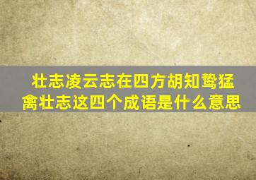 壮志凌云志在四方胡知鸷猛禽壮志这四个成语是什么意思