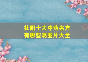 壮阳十大中药名方有哪些呢图片大全