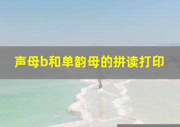 声母b和单韵母的拼读打印