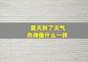 夏天到了天气热得像什么一样