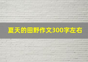 夏天的田野作文300字左右