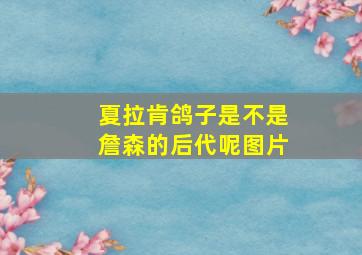 夏拉肯鸽子是不是詹森的后代呢图片