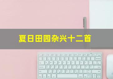 夏日田园杂兴十二首