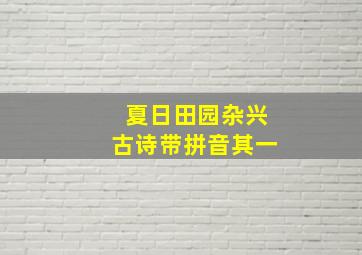 夏日田园杂兴古诗带拼音其一