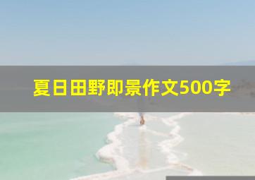 夏日田野即景作文500字