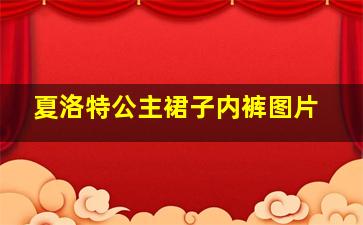 夏洛特公主裙子内裤图片