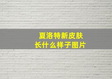 夏洛特新皮肤长什么样子图片