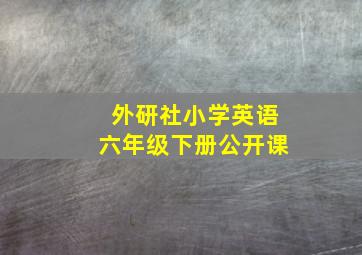 外研社小学英语六年级下册公开课