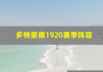 多特蒙德1920赛季阵容