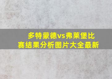 多特蒙德vs弗莱堡比赛结果分析图片大全最新