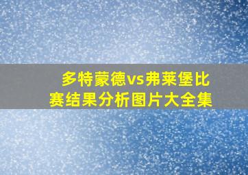 多特蒙德vs弗莱堡比赛结果分析图片大全集