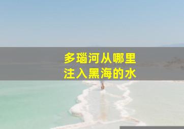 多瑙河从哪里注入黑海的水