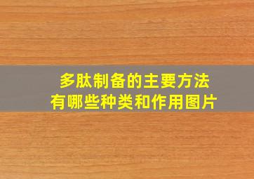 多肽制备的主要方法有哪些种类和作用图片