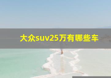 大众suv25万有哪些车