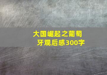 大国崛起之葡萄牙观后感300字