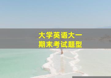 大学英语大一期末考试题型