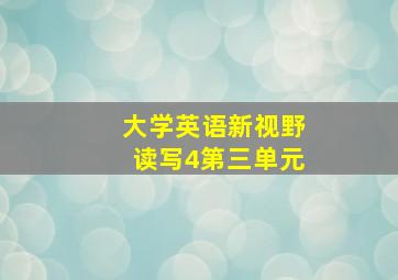 大学英语新视野读写4第三单元