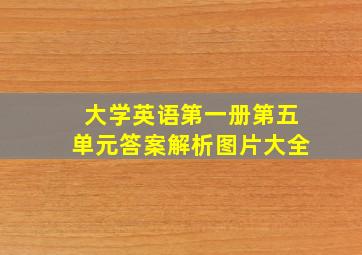 大学英语第一册第五单元答案解析图片大全