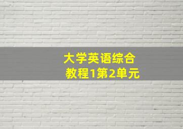 大学英语综合教程1第2单元