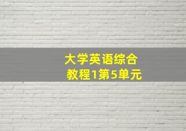 大学英语综合教程1第5单元