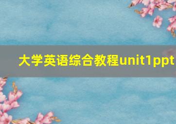 大学英语综合教程unit1ppt