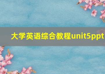 大学英语综合教程unit5ppt