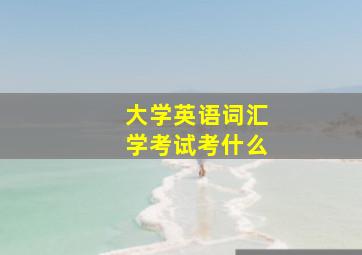 大学英语词汇学考试考什么