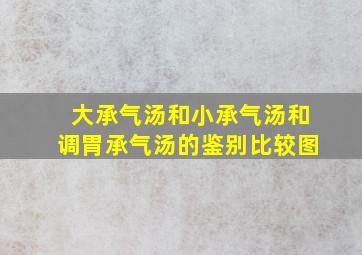 大承气汤和小承气汤和调胃承气汤的鉴别比较图