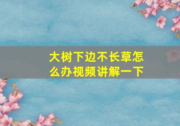 大树下边不长草怎么办视频讲解一下