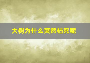 大树为什么突然枯死呢