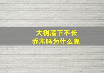 大树底下不长乔木吗为什么呢