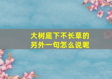 大树底下不长草的另外一句怎么说呢