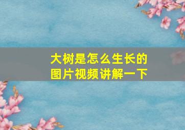 大树是怎么生长的图片视频讲解一下