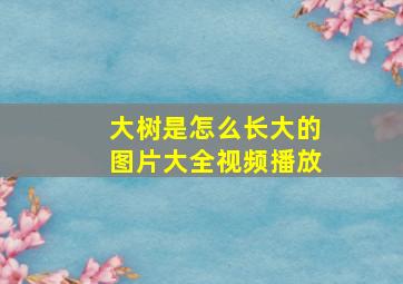 大树是怎么长大的图片大全视频播放