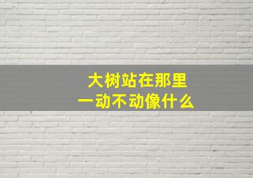 大树站在那里一动不动像什么