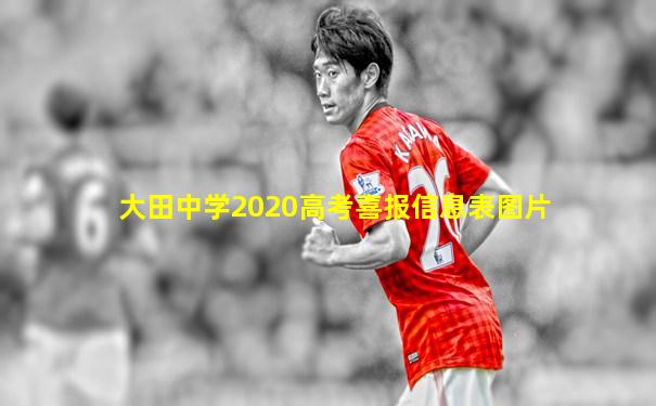 大田中学2020高考喜报信息表图片