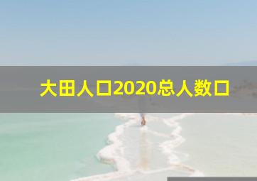 大田人口2020总人数口