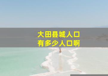 大田县城人口有多少人口啊