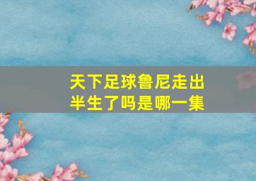 天下足球鲁尼走出半生了吗是哪一集