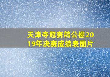 天津夺冠赛鸽公棚2019年决赛成绩表图片