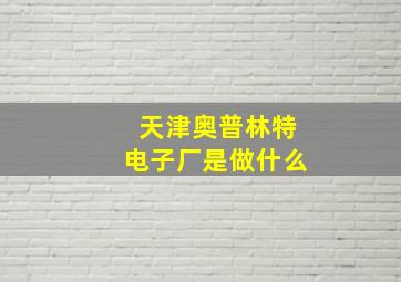 天津奥普林特电子厂是做什么