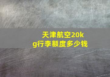 天津航空20kg行李额度多少钱