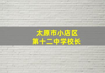 太原市小店区第十二中学校长