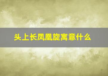 头上长凤凰旋寓意什么